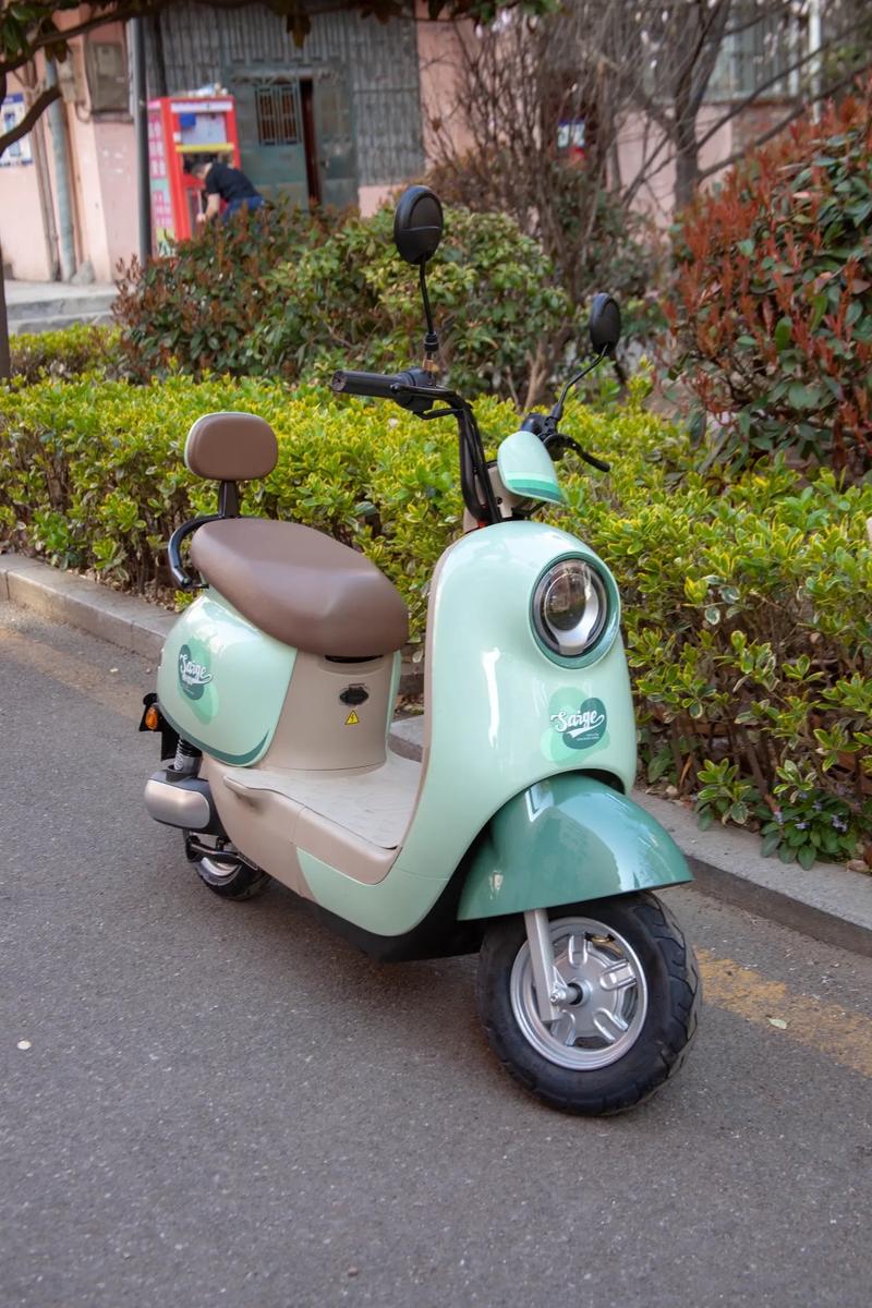 春游出行好伴侶 性價比高的電動車推薦，為175身高量身定制