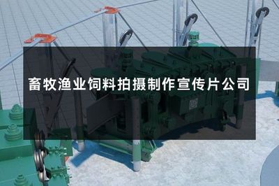 賦能現代畜牧漁業 專業飼料拍攝與宣傳片制作公司的重要性