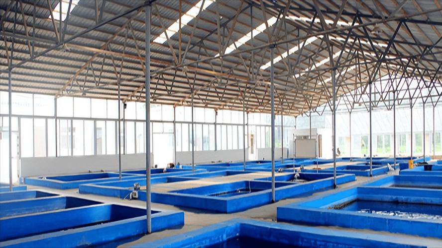 廣西恒洋農(nóng)業(yè)開(kāi)發(fā)智能化水產(chǎn)養(yǎng)殖 以科技賦能，開(kāi)啟漁業(yè)新未來(lái)